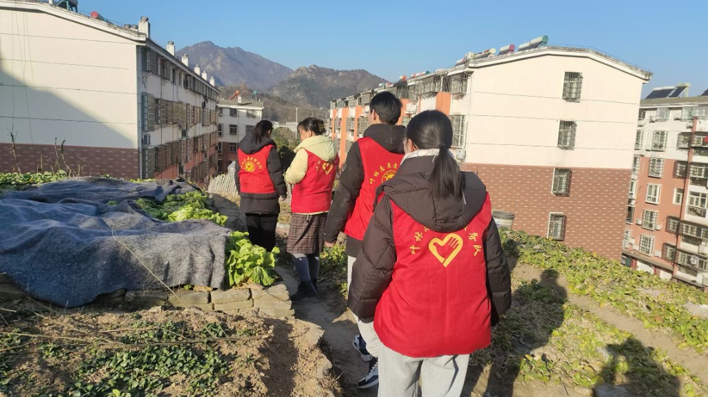 青春向党 医路乡伴——福建卫生职业技术学院2026年寒假“三下乡”社会实践纪实